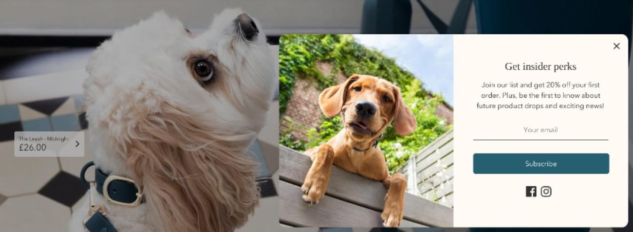 découvrez notre sélection des meilleurs thèmes shopify pour 2025, conçus pour propulser votre boutique en ligne vers le succès. optimisés pour la performance et le design, ces thèmes vous aideront à offrir une expérience client exceptionnelle.