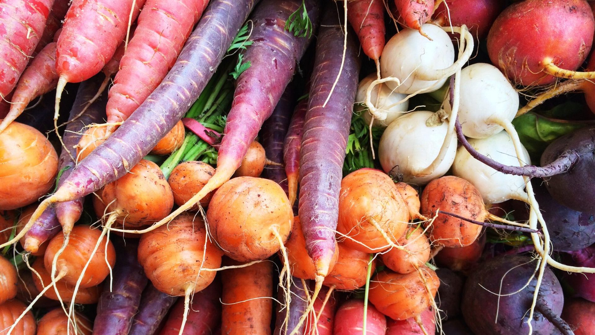 découvrez comment les racines technologiques de google shopping transforment le e-commerce, optimisent l'expérience utilisateur et boostent les ventes. analyse des innovations et des tendances impactant le marché.